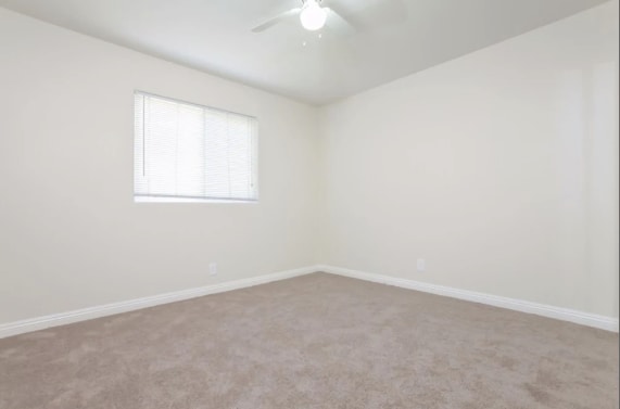 Building Photo - 445 Bard St