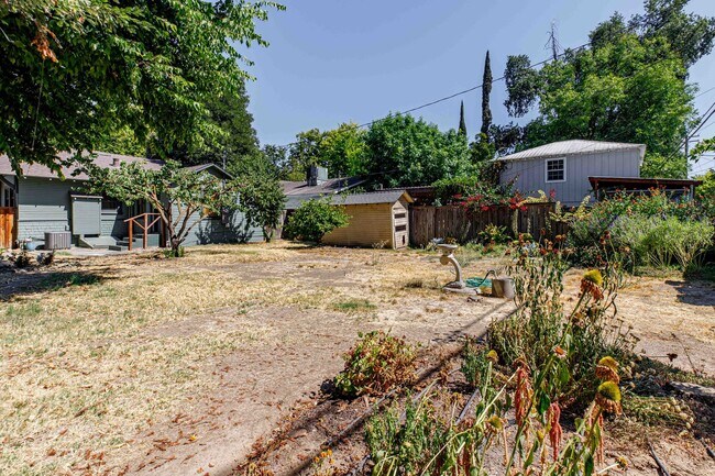 Building Photo - 229 Orange Ave