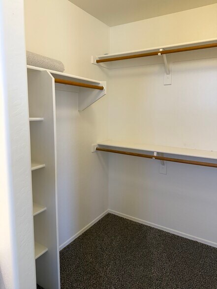 Primary walk-in closet - 3793 S Joshua Tree Ln
