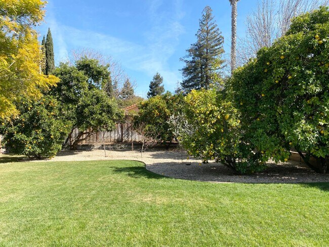 Building Photo - Extraordinary home with expansive yard on a flag lot in Mountain View.  Great Location and Schools.