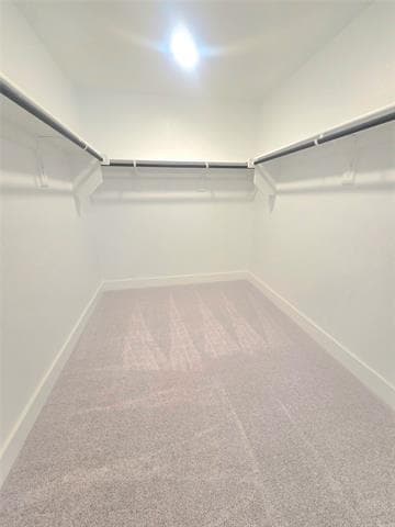 Building Photo - 3132 Lenten Rose Ln