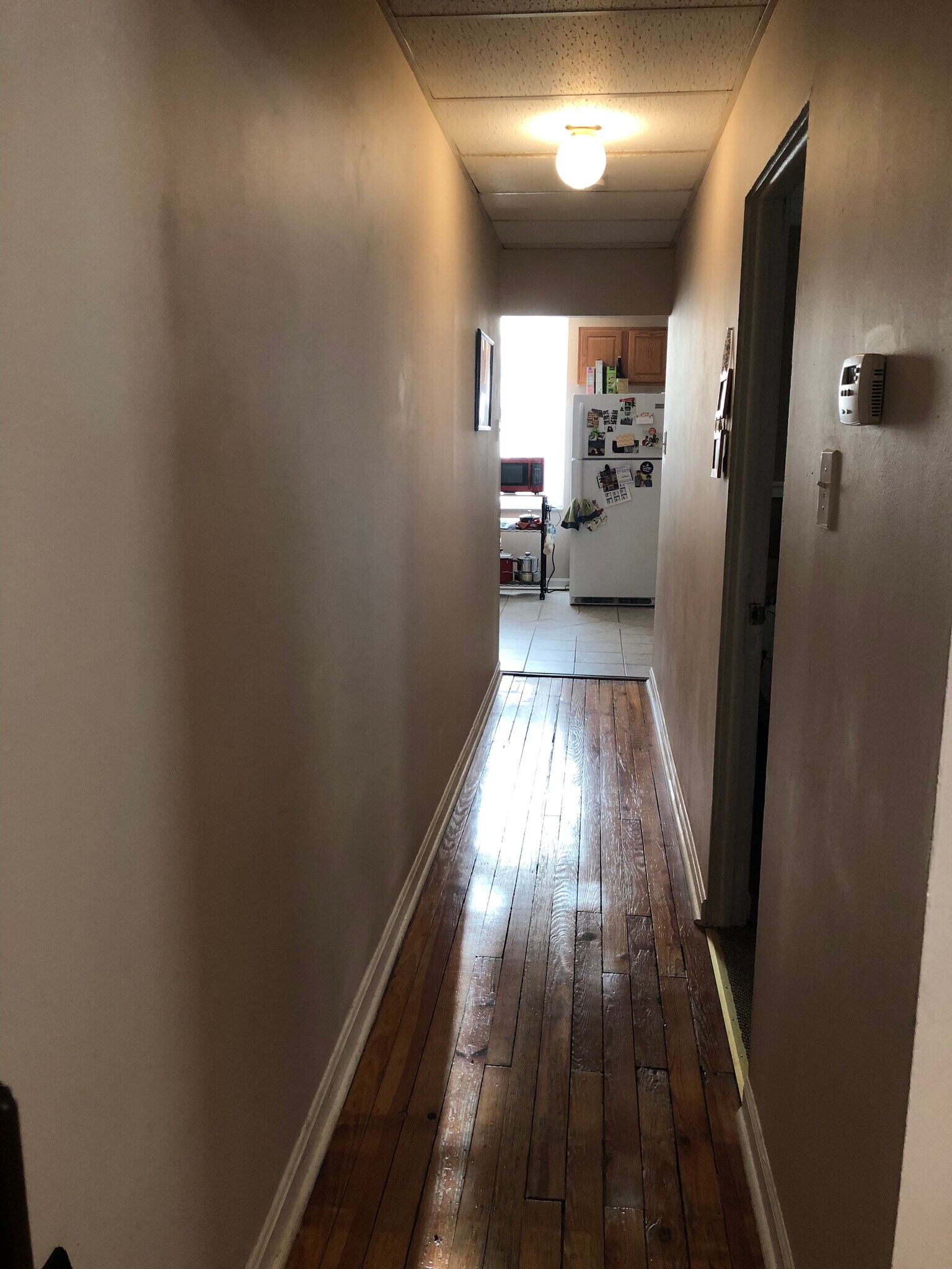 Building Photo - 113-1 Ivy St