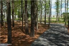 Building Photo - 43830 Royal Fern Ln