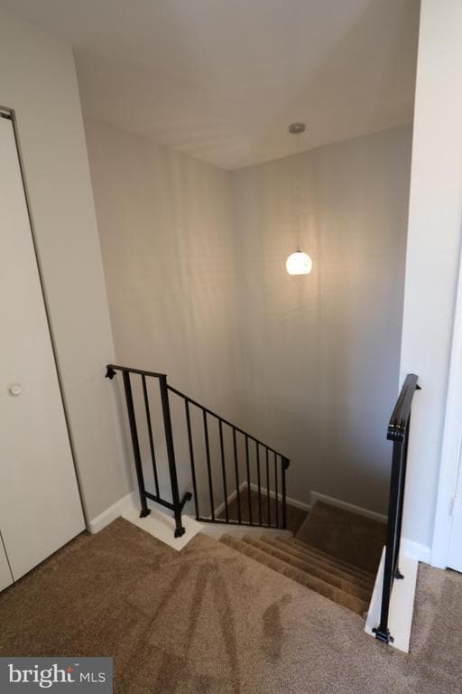 Building Photo - 14317 Chapel Cove Ct