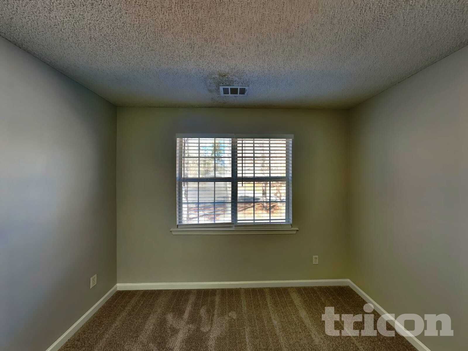 Building Photo - 135 Williams Bluff