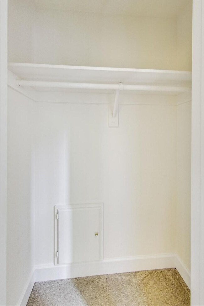 Building Photo - Cool on Cool Spring! Large SF 4 Bed + 2.5 BA