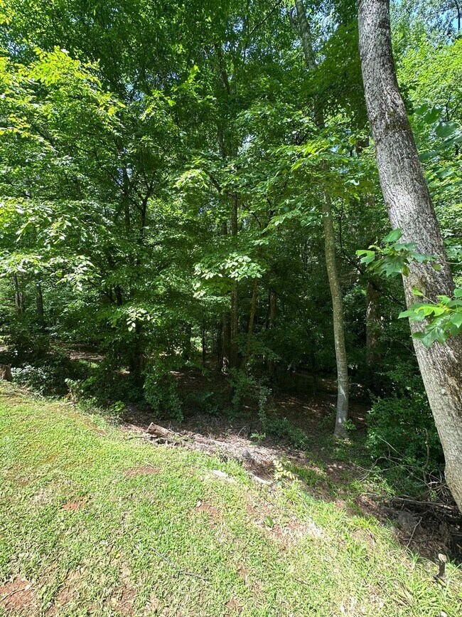 Building Photo - 375 Segrest Cir