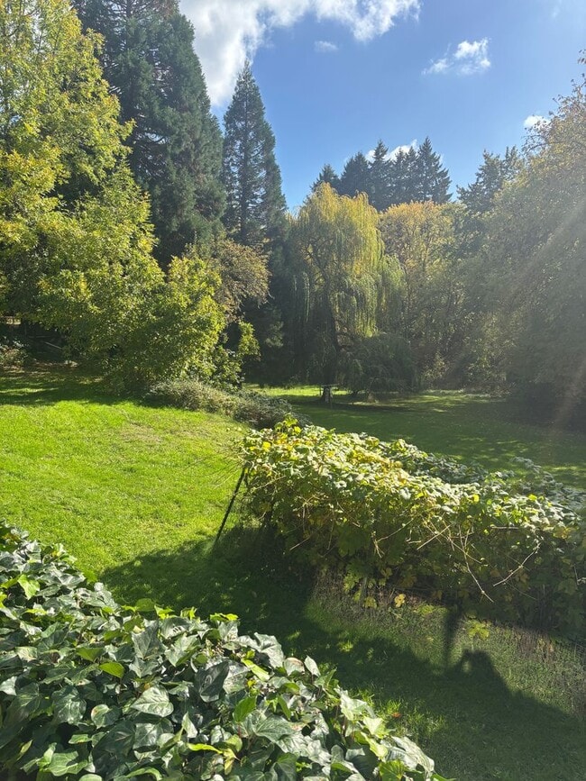 Building Photo - Enjoy 1.125 Acres near Downtown McMinnville