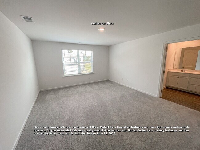 Building Photo - New Home in Braselton!