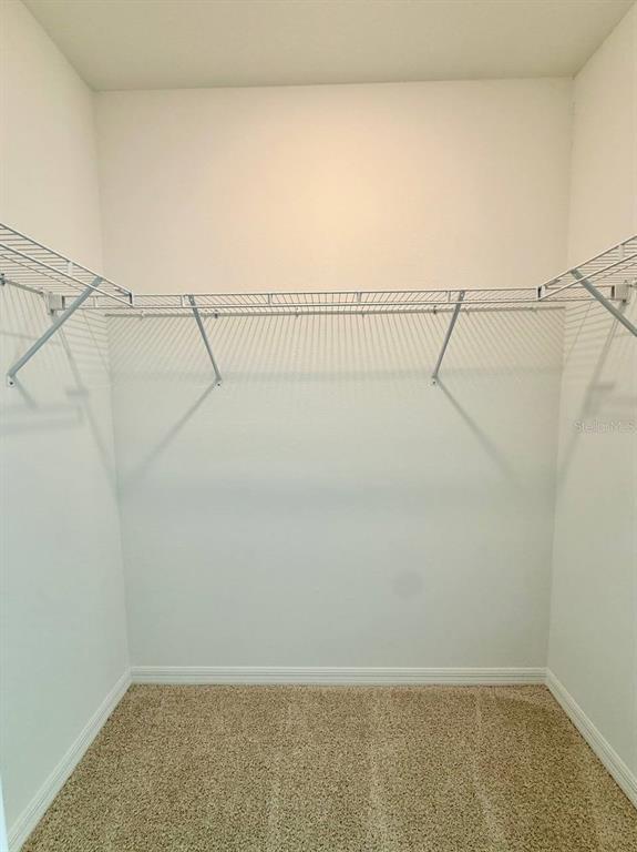 Building Photo - 11374 Velvet Apricot Dr