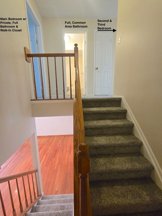 Building Photo - Recently painted & carpeted townhouse with 1,200+ SQ FT, 3-bedroom, 2.5 bathroom and lots of amen...