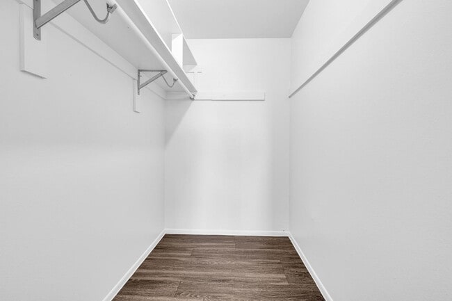 Building Photo - 6 Bedrooms, 3 Bath,  Pool CLOSE TO ASU (Rural & Broadway)