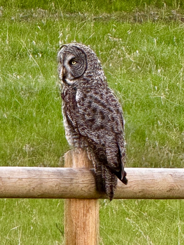 Building Photo - 760 Twin Bridges Rd