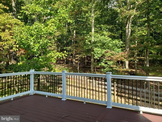 Building Photo - 411 Greenebaum Ln