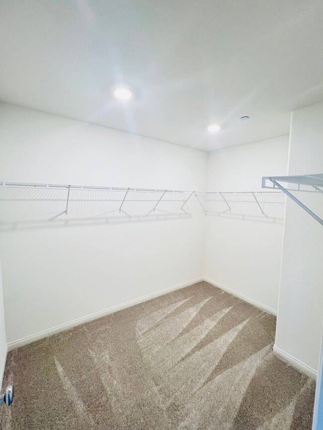 Building Photo - 3545 Via Aurelia Ln