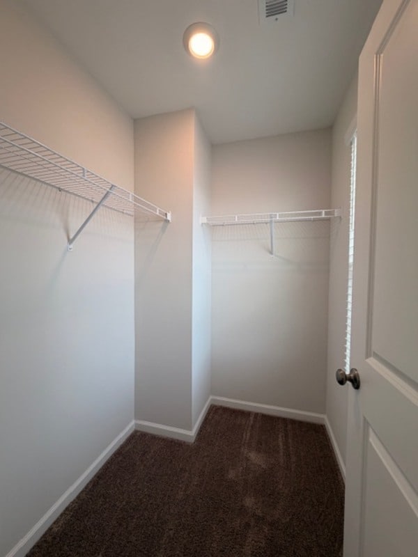 Building Photo - 501 Cricket Chirp Ln