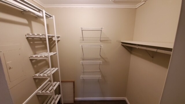 Building Photo - 6135 Knoll Wood Rd