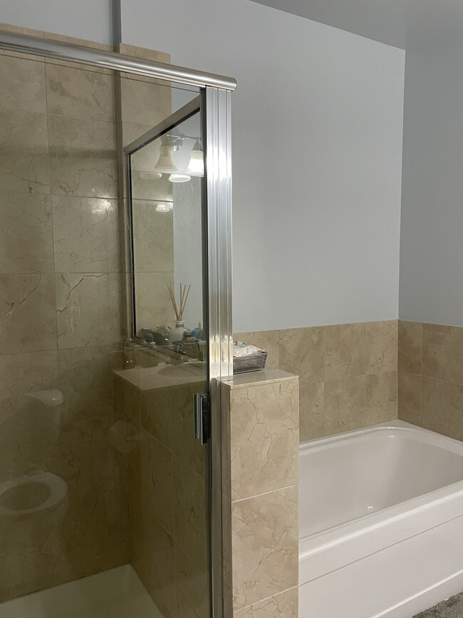 master bath - 1464 S Michigan Ave