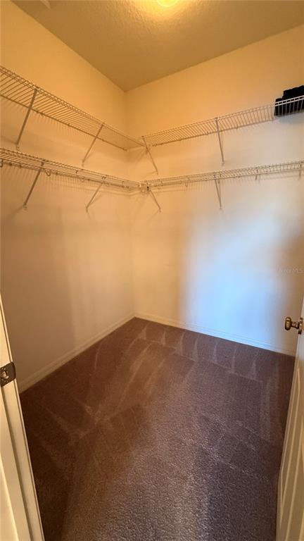 Building Photo - 3688 Parkridge Cir