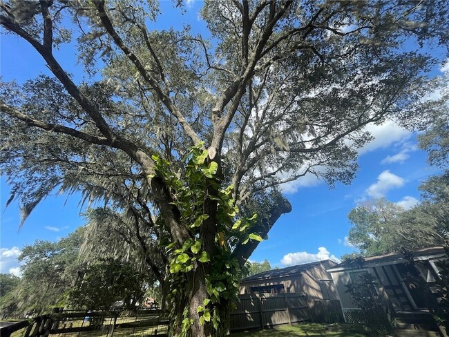 Building Photo - 8824 Overlook Dr