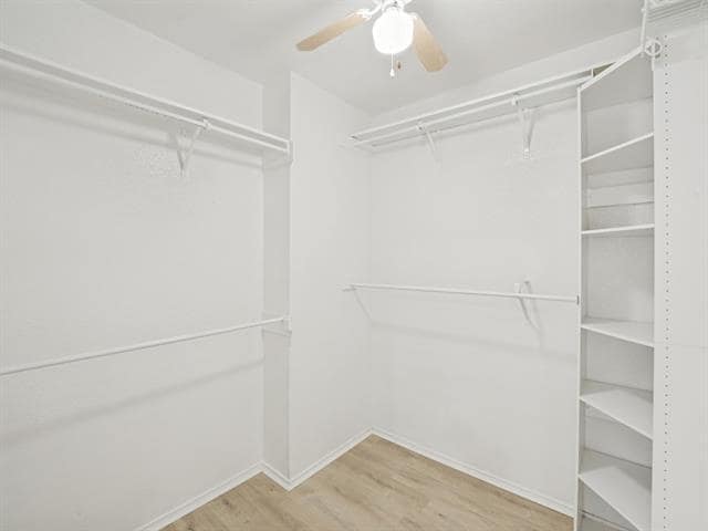 Building Photo - 7004 Sample Dr