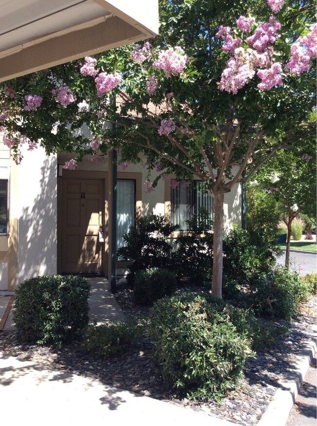 Building Photo - Spacious 2 story 4 bed. 2 bath condo