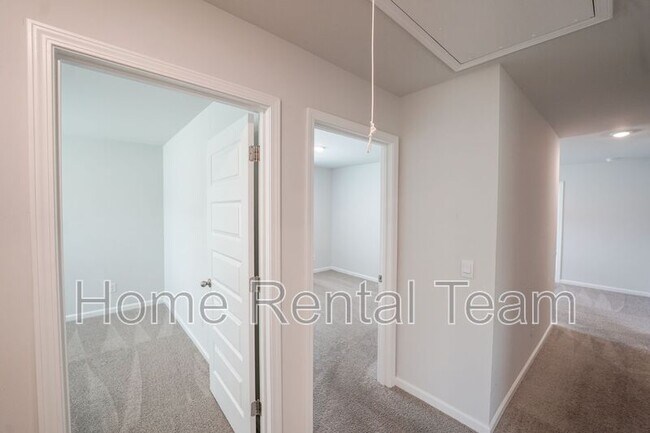 Building Photo - 459 Coconut Dr