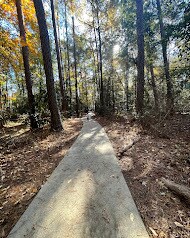 Building Photo - 105 Amick St