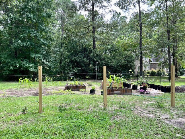 Building Photo - AVAILABLE LATE JULY 2025 (PET FRIENDLY)