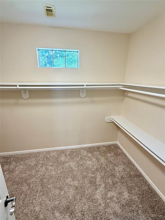 Building Photo - 3902 Teal Fern Ct