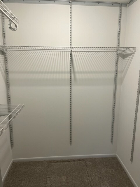 Building Photo - 841 Cross Creek Ct