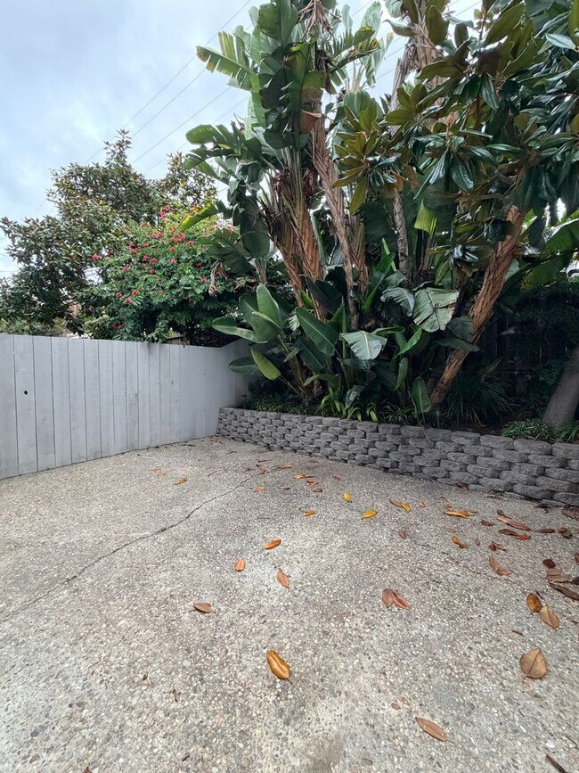 Building Photo - 33938 Alcazar Dr