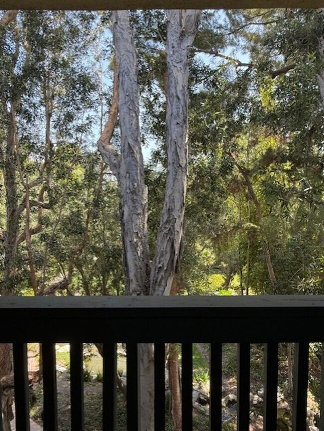 Building Photo - Top floor, 1 Bedroom, 1 Bath Condo in Ston...