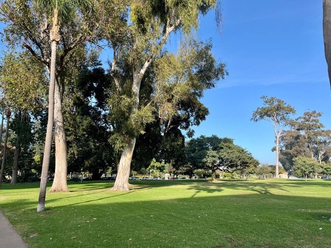 Building Photo - 6th Floor 2 Bedroom 2 Bath Newly remodeled...