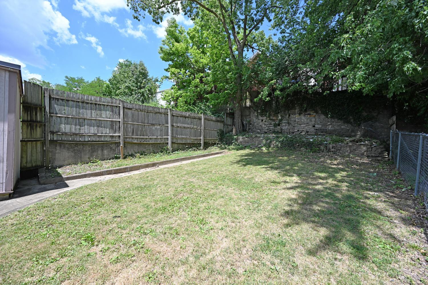 Back yard - 120 Lyon St