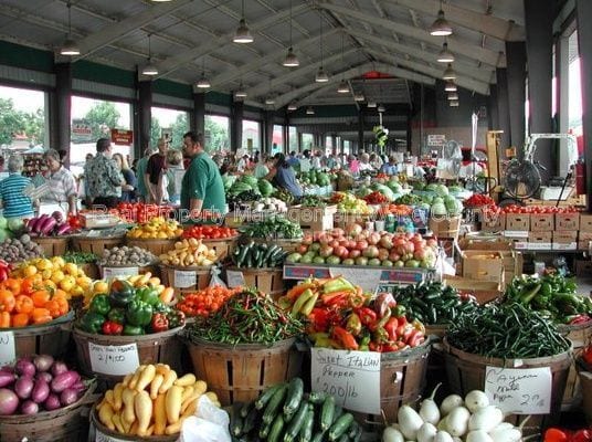 Building Photo - 1535 Caraleigh Mills Ct