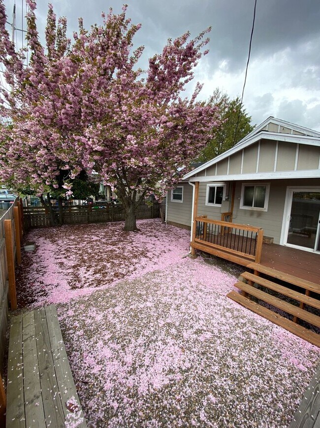 Building Photo - 20th St SE Duplex