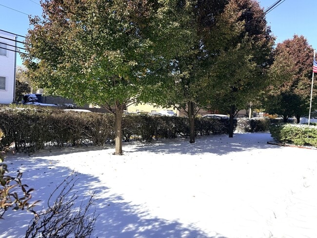 Building Photo - 8440 Skokie Blvd