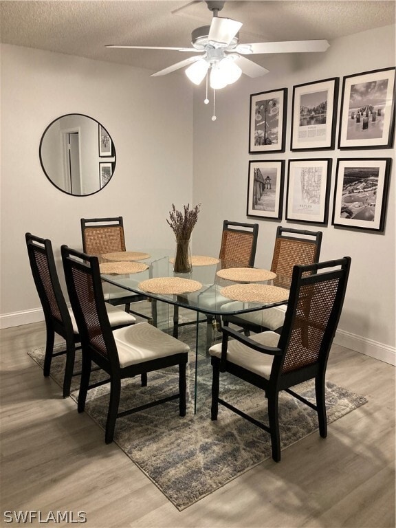 Building Photo - 209 Palm Dr