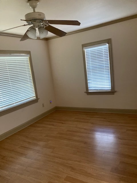 Building Photo - 303 Paris St