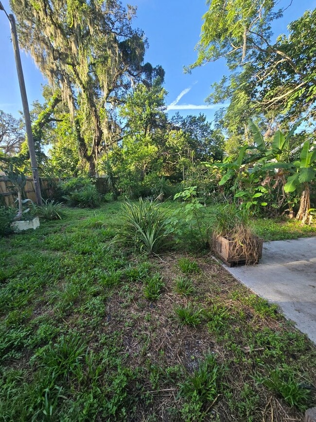 Building Photo - 2 BEDROOM 1 BATH NEAR USF