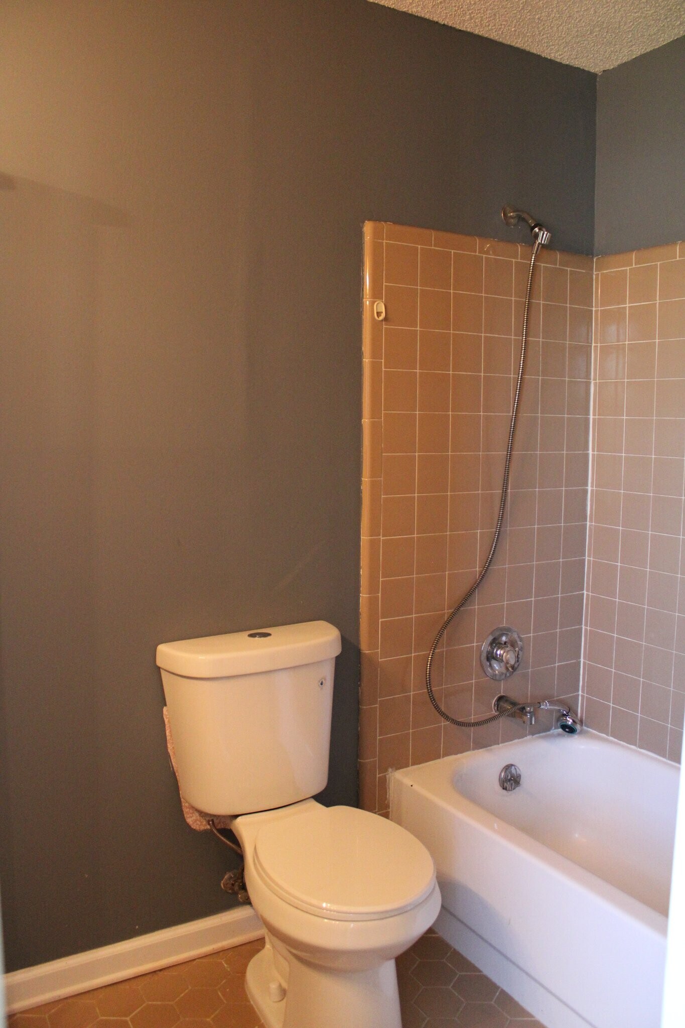 Building Photo - 3374 Brownbark Dr