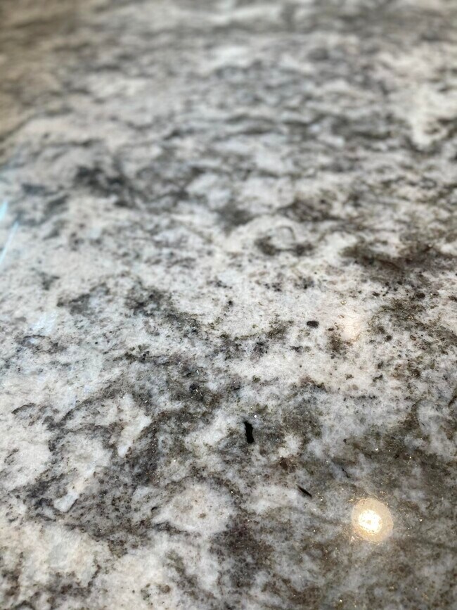 Building Photo - 3421 Holwyn Rd