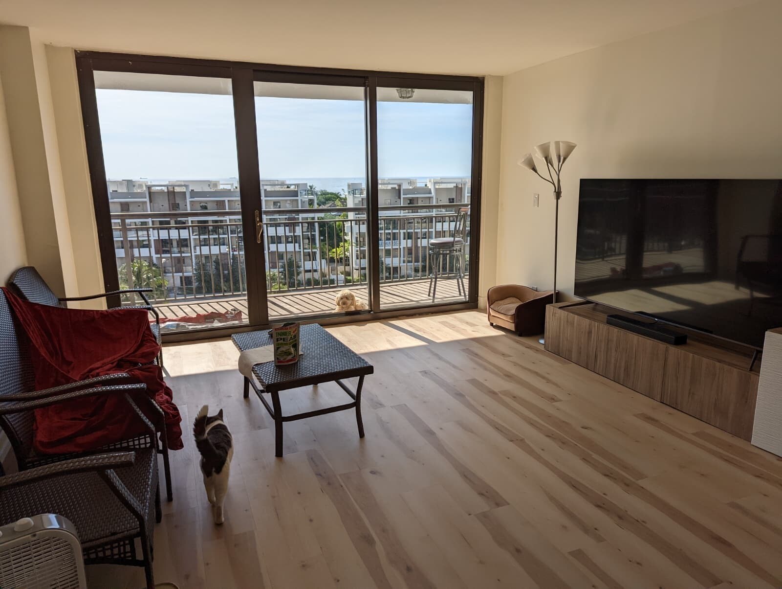 Building Photo - 3031 N Ocean Blvd