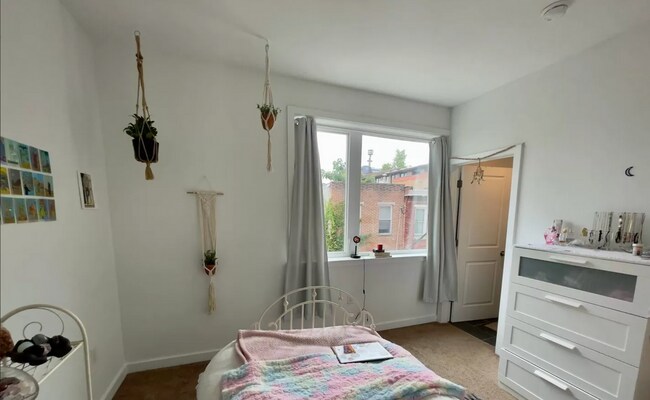 Primary Photo - Newly Renovated Apartments-Temple University