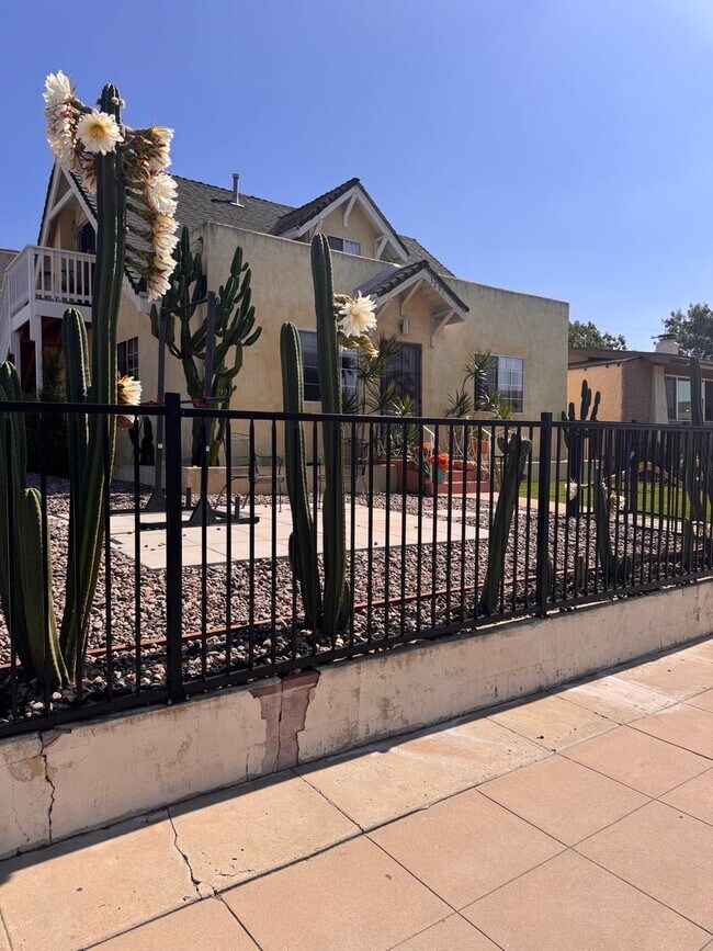 Building Photo - Studio with large private patio - Newly Re...