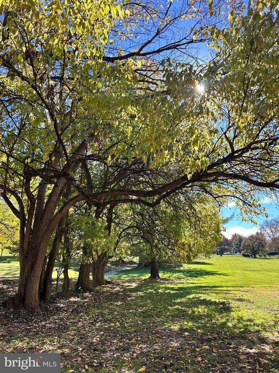 Building Photo - 1705 Mountainview Dr