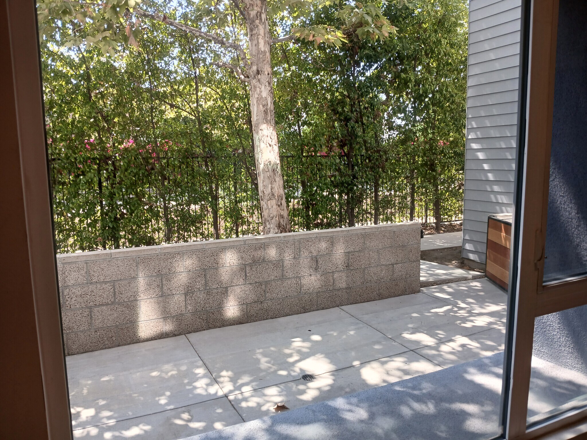 Building Photo - 135 W Live Oak Ave