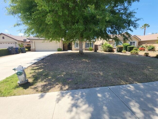 Primary Photo - 5 bedrooms/ 2 baths Location Olive Dr/ Old...