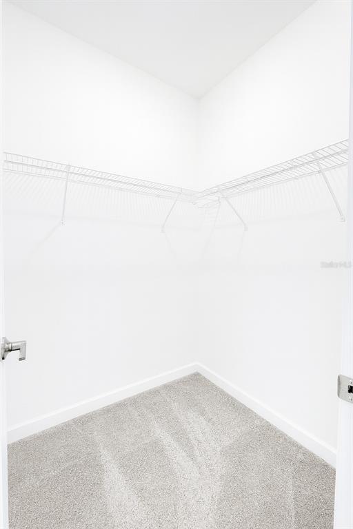 Building Photo - 2962 Camden Wy